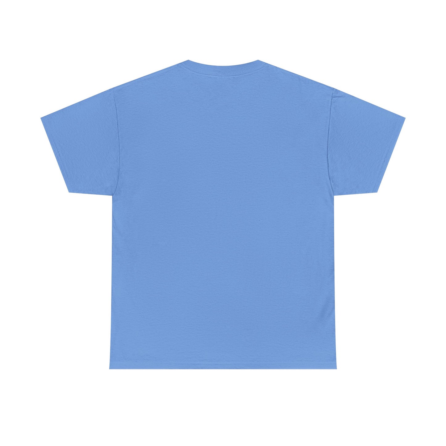 Be Kind Dinosaur Tee