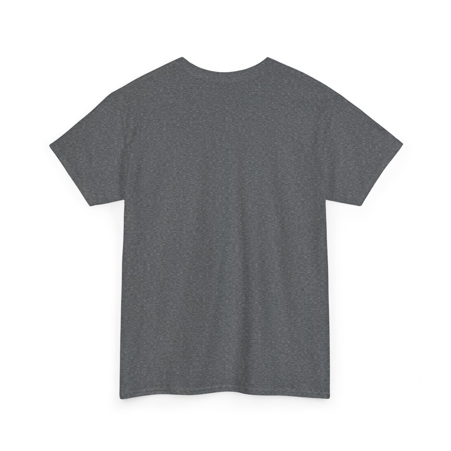 Be Kind Dinosaur Tee