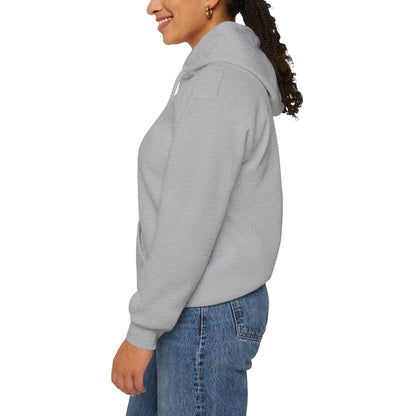 “Awesomely Autistic” Hoodie