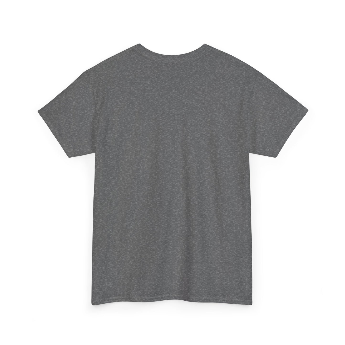 Be Kind Dinosaur Tee