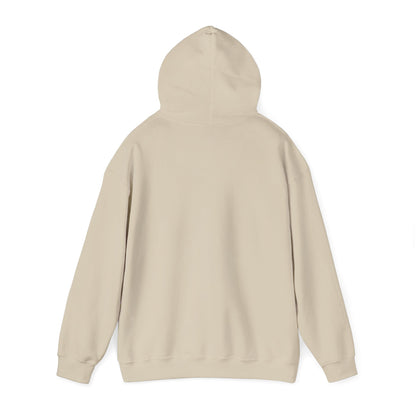 “Awesomely Autistic” Hoodie