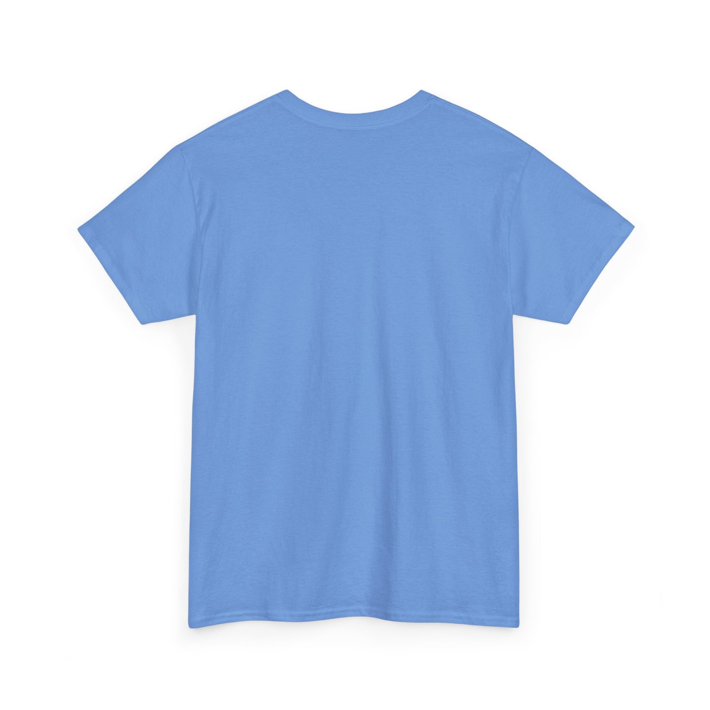 Be Kind Dinosaur Tee