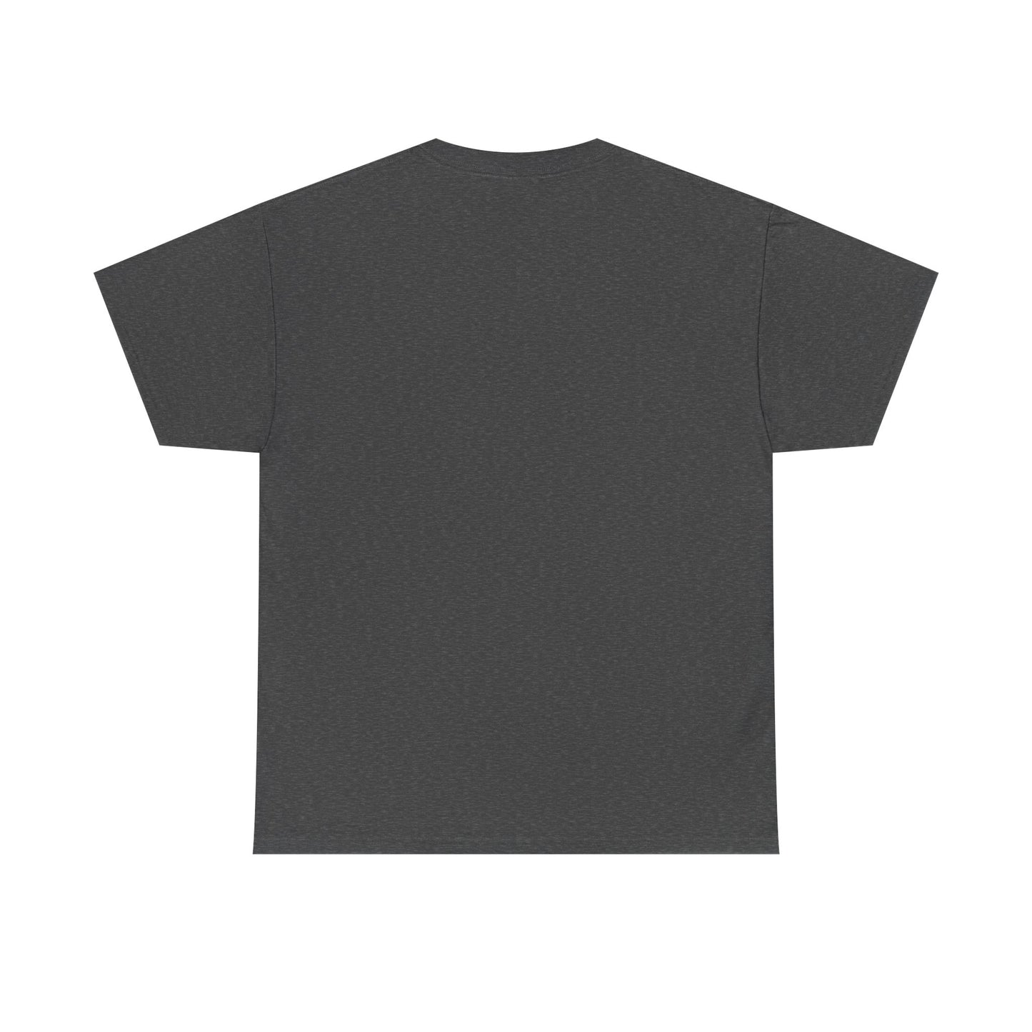 Be Kind Dinosaur Tee