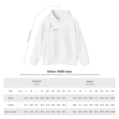 On The Ball Pediatric Therapy Hoodie