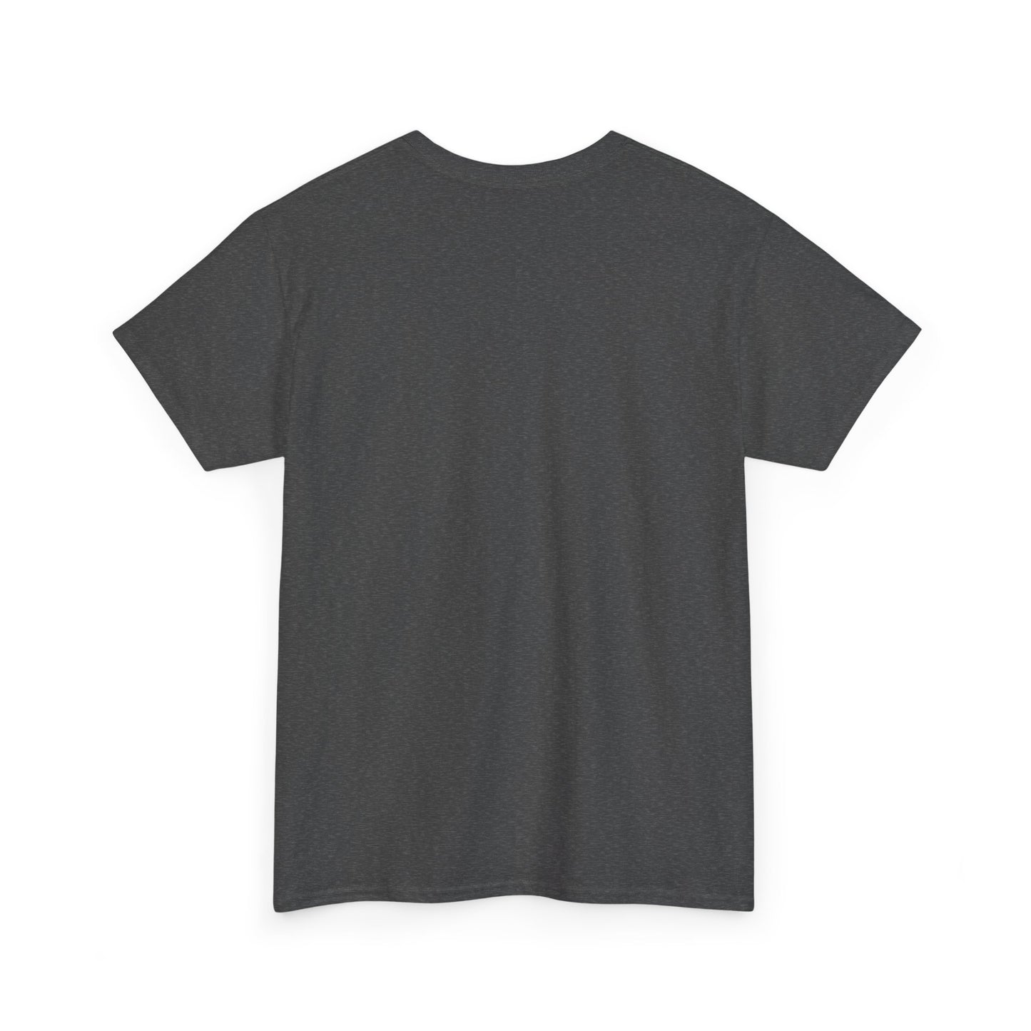Be Kind Dinosaur Tee