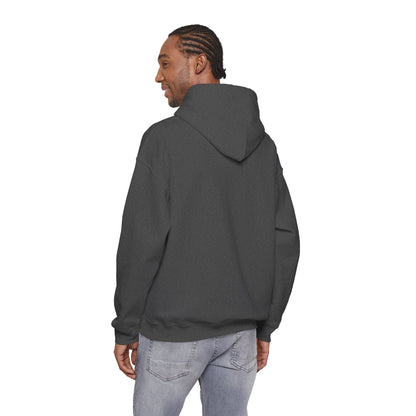 “Awesomely Autistic” Hoodie
