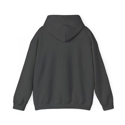 “Awesomely Autistic” Hoodie