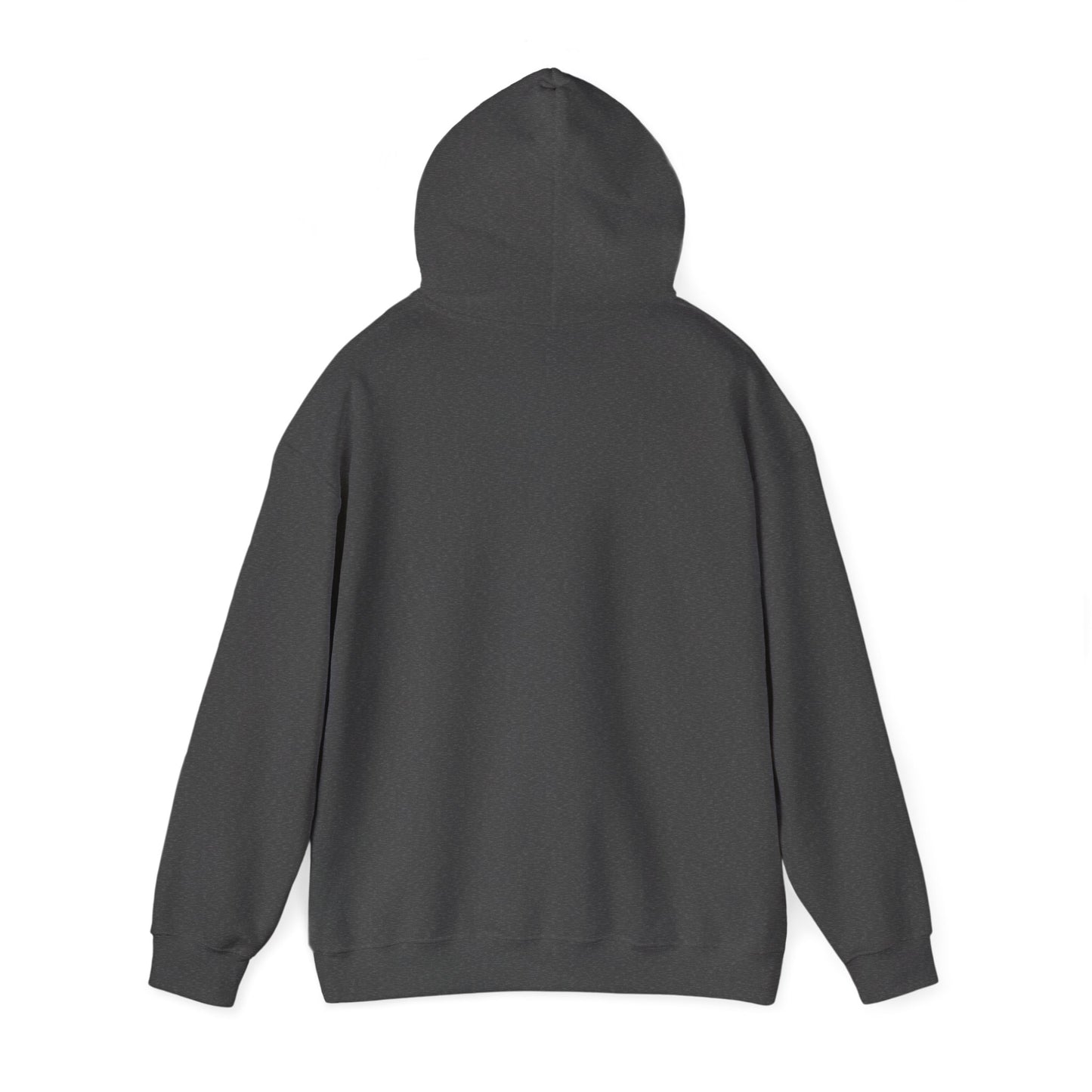 “Awesomely Autistic” Hoodie