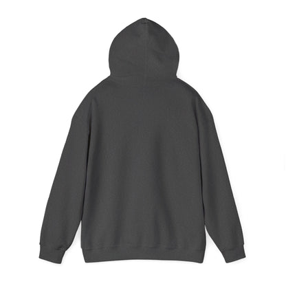 “Awesomely Autistic” Hoodie