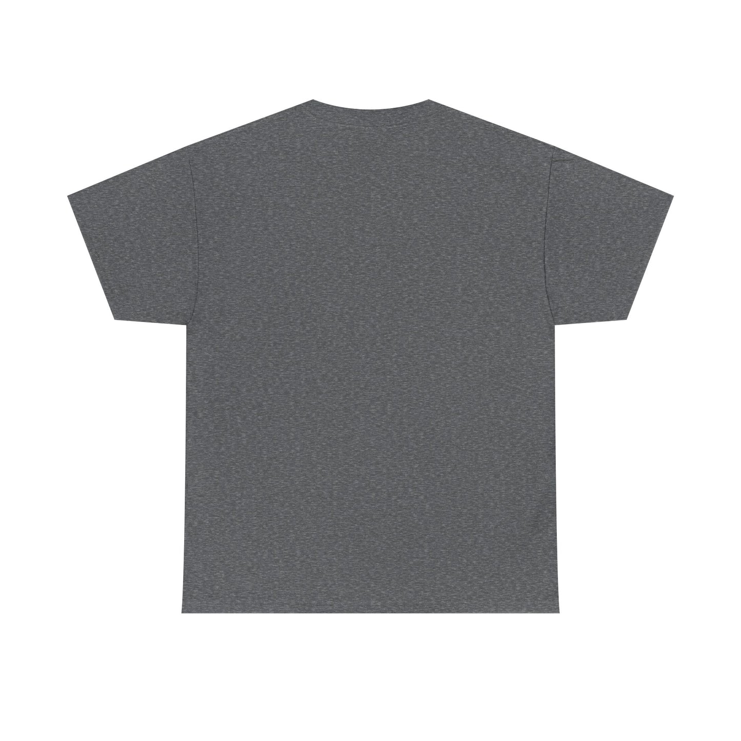 Be Kind Dinosaur Tee